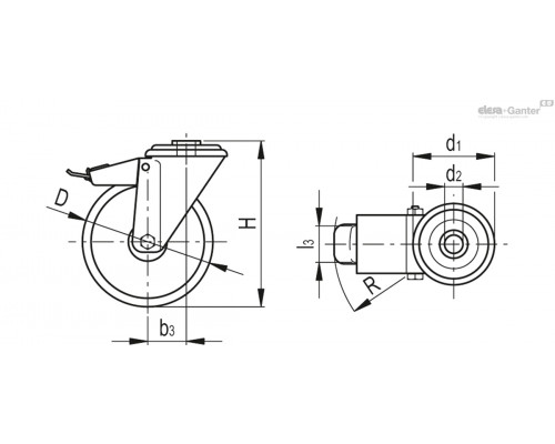 Колёсико RE.F8-100-FBF-SST-N (450906) ELESA+GANTER