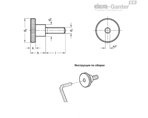 Винт с накатанной головкой GN 464.1-M5-10-ZB ELESA+GANTER