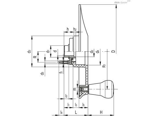 Маховик EWW.240-PXX2+IEL-A20-C0 (208141-C0) ELESA+GANTER