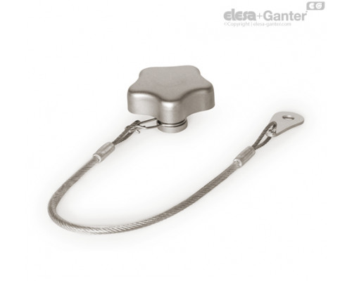 Лепестковая ручка GN 5334.13-50-M10-H ELESA+GANTER