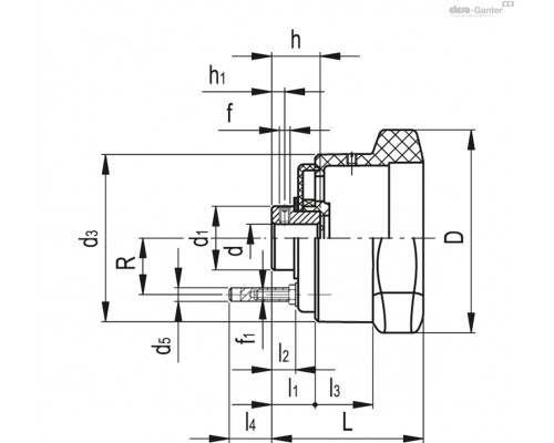 Лепестковая ручка VC.792/98-PXX2 A-12 (CE.30083) ELESA+GANTER