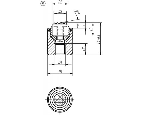 Упоры K0285.117X022 Kipp