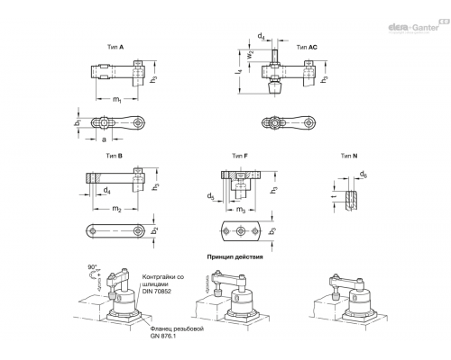 Поворотный зажим GN 876-25-14-R-F ELESA+GANTER