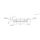 Усиленная гайка GN 6339-18,5-34-5-BT ELESA+GANTER