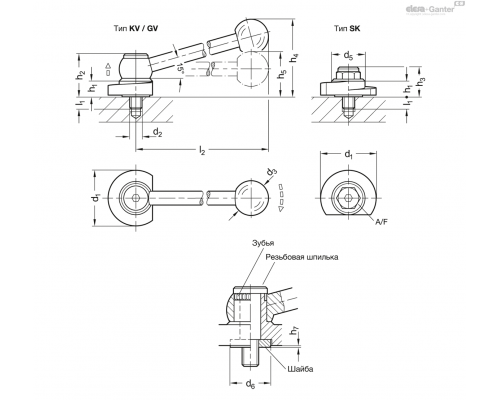Зажимной болт GN 918.1-40-GV-R ELESA+GANTER