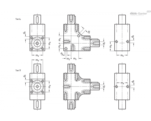 Редуктор GN 3971-20-T-6-AN ELESA+GANTER