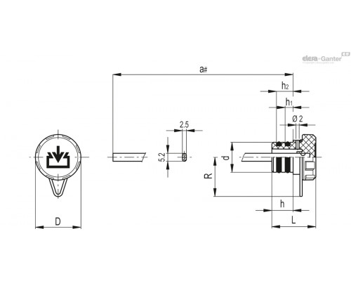 Колпачок TP-CF.20+A-RC-C9 (60555-C9) ELESA+GANTER