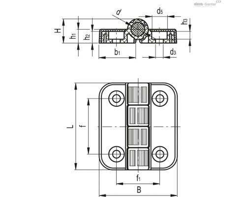Петля CFP.50 CH-4-C9 (426312-C9) ELESA+GANTER