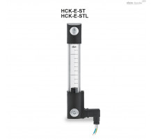 Индикатор HCK.254-ZN-M12-FKM-GL-P-E-NC-80-NC (116293) ELESA+GANTER