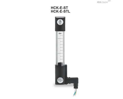 Индикатор HCK.254-ZN-M12-FKM-GL-P-E-NC-80-NC (116293) ELESA+GANTER