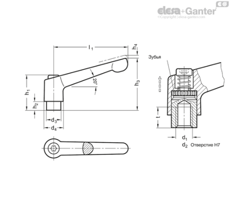 Регулируемая ручка рычажного типа GN 300-22-B5-SW ELESA+GANTER Регулируемая ручка рычажного типа GN 300-22-B5-SW ELESA+GANTER