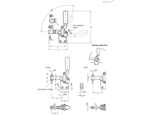 Прижим GN 810.11-1540-F ELESA+GANTER