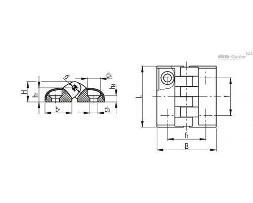 Петли CFT.49 SH-5-C9 (427132-C9) ELESA+GANTER