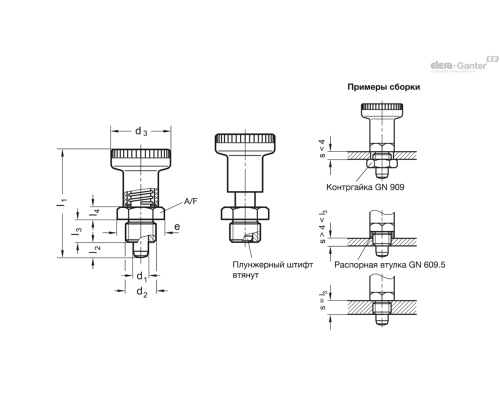 Штифт стопорный GN 607-6-A-ST ELESA+GANTER Штифт стопорный GN 607-6-A-ST ELESA+GANTER