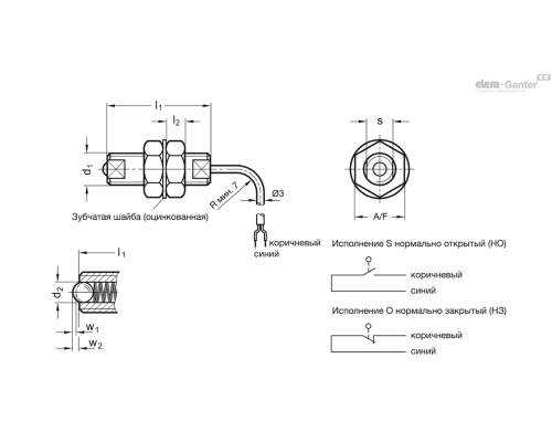 Фиксатор пружинный GN 615.7-M6-O ELESA+GANTER