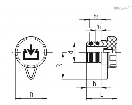 Колпачок TP-C.12-RC-C9 (60501-C9) ELESA+GANTER