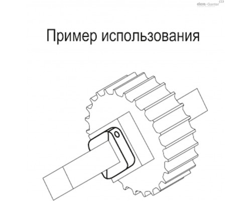 Установочное кольцо ANPS-Q-30 (319962) ELESA+GANTER