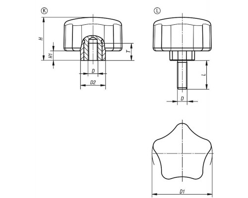 Ручка K0786.06310 Kipp