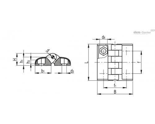Петли CFT.65 EH-6-C9 (427151-C9) ELESA+GANTER