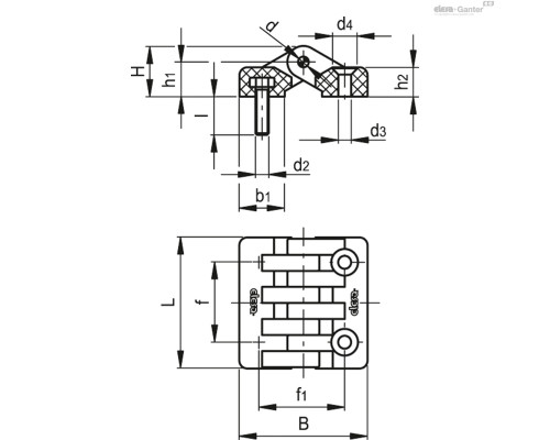 Петли CFA.49 p-M5x14-SH-5 (422161) ELESA+GANTER