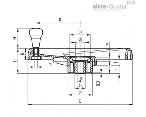 Маховик с одной спицей EMW.350+IEL-A-20-B2 (204611-B2) ELESA+GANTER