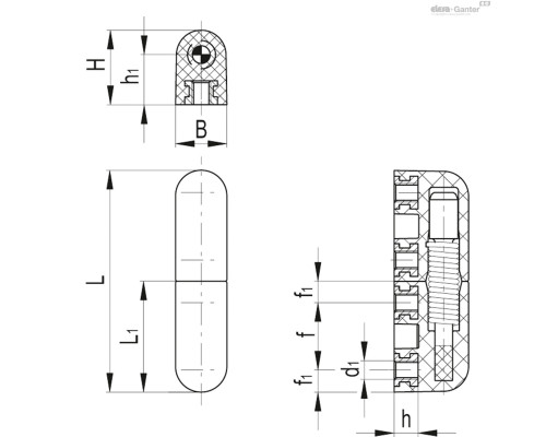 Петля CFNR.65 B-M5-D-030 (426202) ELESA+GANTER