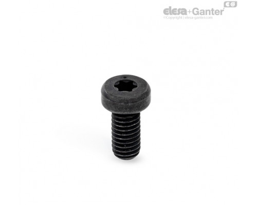 Эксцентриковый нажимной винт GN 418.3-M12-24-BT ELESA+GANTER