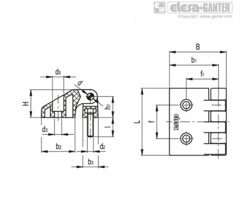 Петля CFD.48 CH-5-p-M5x17 (422961) ELESA+GANTER
