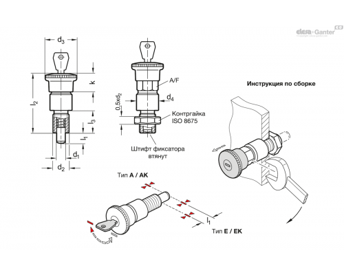 Штифт стопорный GN 814-8-8-A-SU-NI ELESA+GANTER