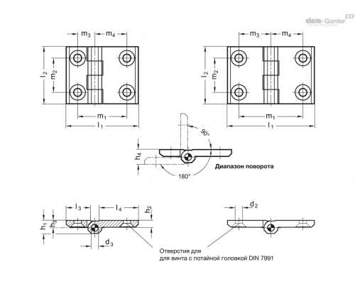 Петли GN 237-NI-76-50-A-GS ELESA+GANTER