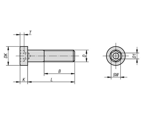 Винты K1160.04X10 Kipp