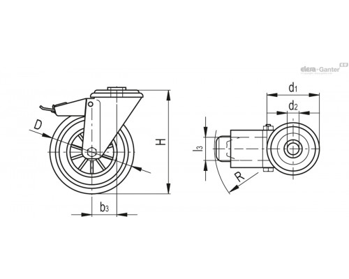 Колёсико RE.E2-200-FBF-N (449771) ELESA+GANTER