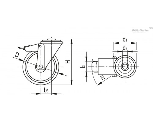 Колесико RE.F1-125-FBF-SST-N (448143) ELESA+GANTER