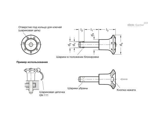 Штифт с шариковыми фиксаторами GN 113.5-5-10 ELESA+GANTER Штифт с шариковыми фиксаторами GN 113.5-5-10 ELESA+GANTER