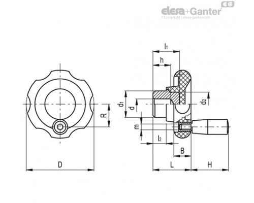 Маховик управления VL.140/100+I (74521) ELESA+GANTER