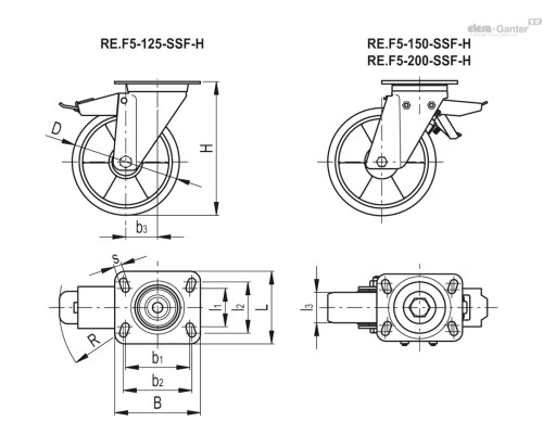 Колесико RE.F5-125-SSF-H-ESD (451751-ESD) ELESA+GANTER
