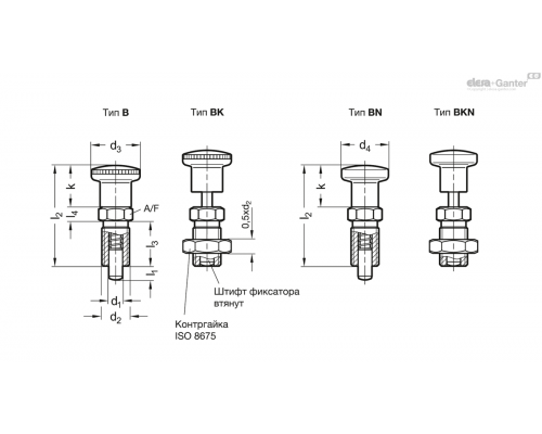 Штифт стопорный GN 818-4-6-B-A4 ELESA+GANTER