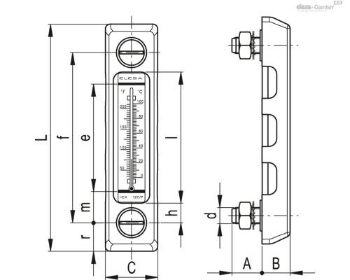 Индикатор HCX.254/T-AR-PT-M12 (11369-R) ELESA+GANTER