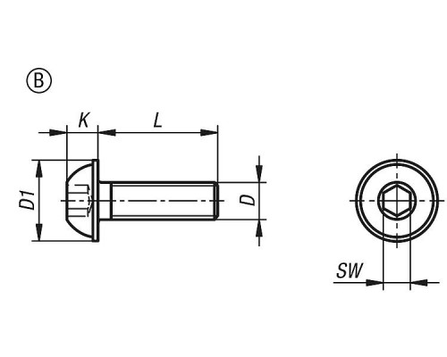 Винты K1796.1304X10 Kipp