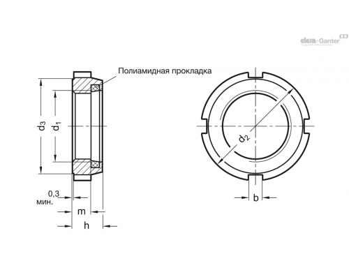 Контргайка GN 1804.1-M10x1 ELESA+GANTER