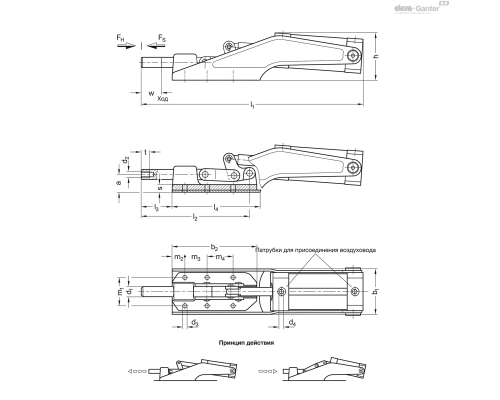 Прижим GN 890-1100-SP-M ELESA+GANTER