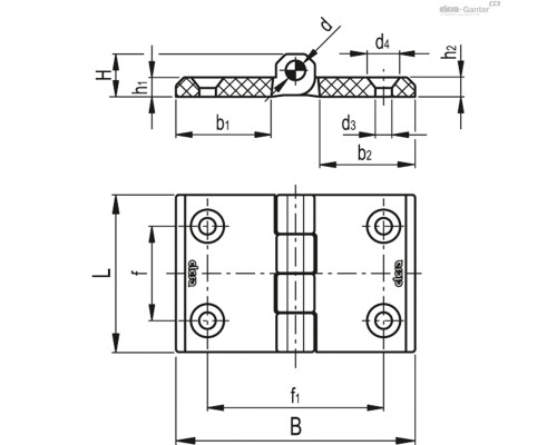 Петли CFM-L-A.60-120-SH-8 (425818) ELESA+GANTER