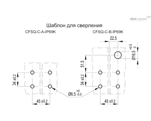 Петля CFSQ.60-SH-6-C-A-D-IP69K (427011-IP69K) ELESA+GANTER