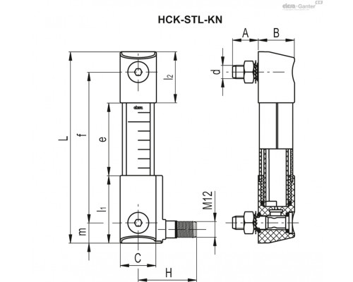 Индикатор HCK.508-SST-M12-FKM-PC-P-80-NO (118345) ELESA+GANTER