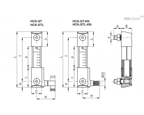Индикатор HCK.508-SST-M12-FKM-PC-P-80-NO (118345) ELESA+GANTER