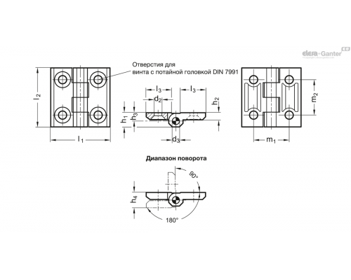 Петли GN 237-A4-40-40-A-GS ELESA+GANTER