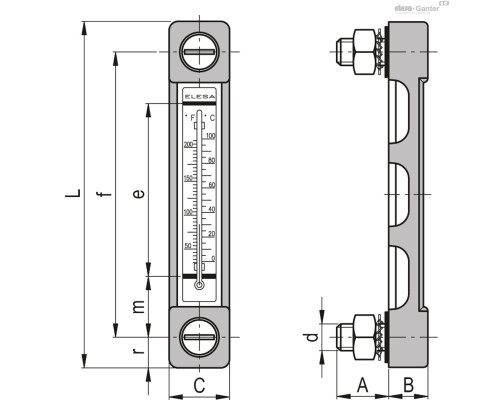 Индикатор HCZ.254/T-AR-PT-M12 (11399-R) ELESA+GANTER