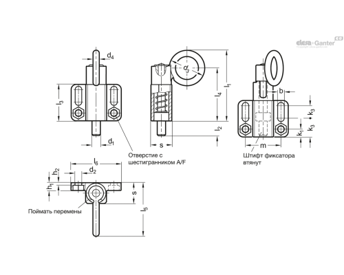 Штифт стопорный GN 722.6-20-30-C-A4 ELESA+GANTER Штифт стопорный GN 722.6-20-30-C-A4 ELESA+GANTER