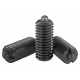 Фиксаторы K0317.212 Kipp
