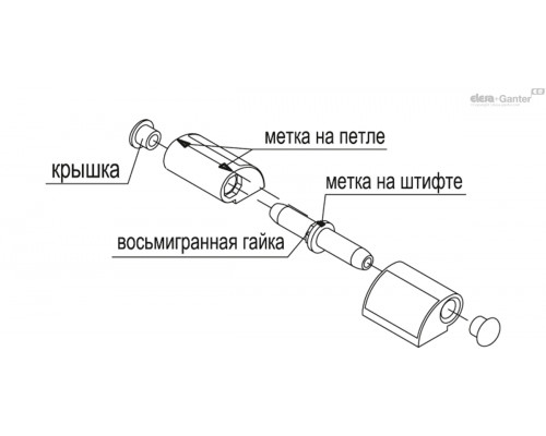 Петля CFO.65 EH-5-C9 (426211-C9) ELESA+GANTER